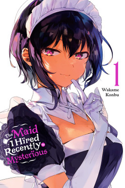 The Maid I Hired Recently is Mysterious